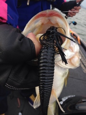 hideup 横山直人 ブログ写真 2014/03/16