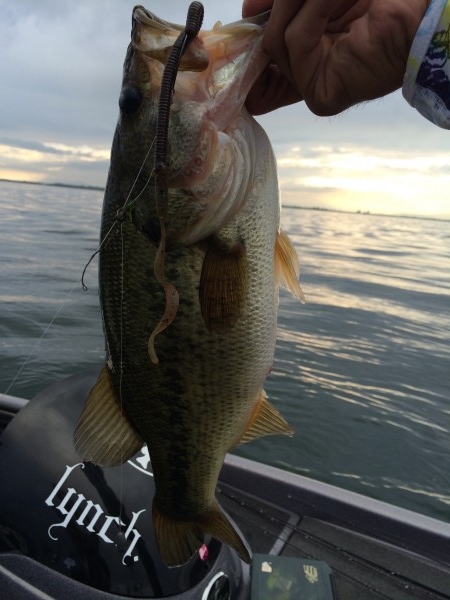 hideup 讓ｪ螻ｱ逶ｴ莠ｺ 繝悶Ο繧ｰ蜀咏悄 2014/07/05