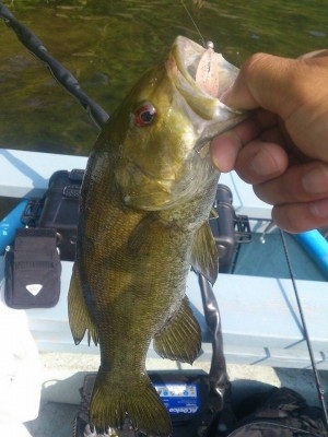 hideup 讓ｪ螻ｱ逶ｴ莠ｺ 繝悶Ο繧ｰ蜀咏悄 2014/06/17