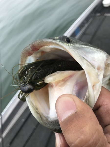 hideup 横山直人 ブログ写真 2017/04/08