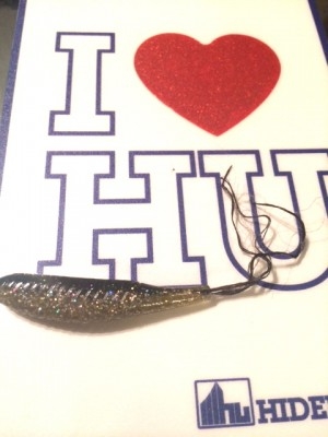 hideup 讓ｪ螻ｱ逶ｴ莠ｺ 繝悶Ο繧ｰ蜀咏悄 2014/02/20