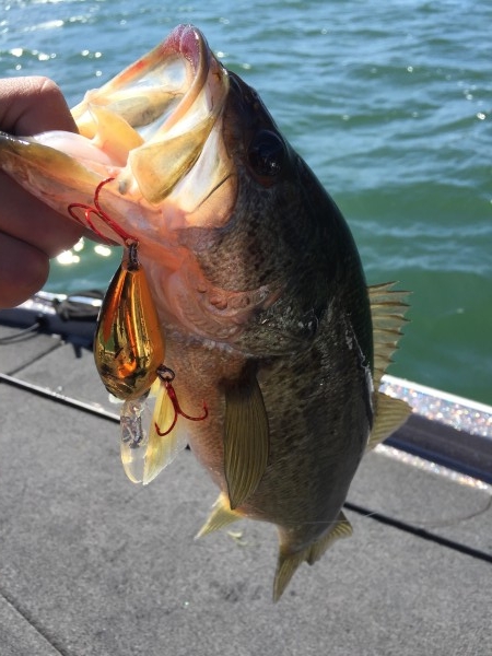 hideup 讓ｪ螻ｱ逶ｴ莠ｺ 繝悶Ο繧ｰ蜀咏悄 2016/03/22