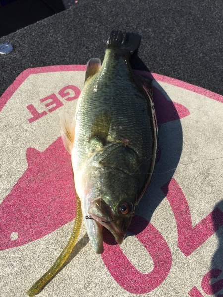 hideup 讓ｪ螻ｱ逶ｴ莠ｺ 繝悶Ο繧ｰ蜀咏悄 2015/09/06