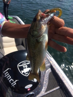 hideup 横山直人 ブログ写真 2015/08/15