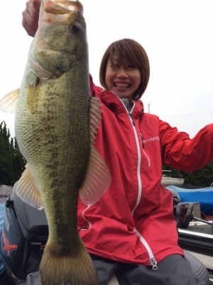 hideup 横山直人 ブログ写真 2014/04/05