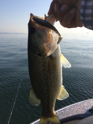 hideup 讓ｪ螻ｱ逶ｴ莠ｺ 繝悶Ο繧ｰ蜀咏悄 2014/06/01