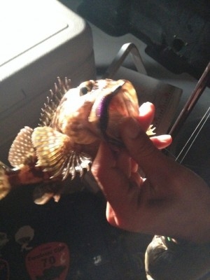 hideup 横山直人 ブログ写真 2015/01/14