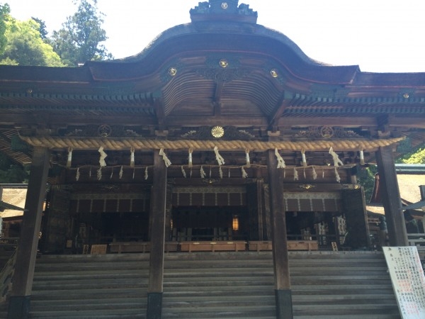 hideup 讓ｪ螻ｱ逶ｴ莠ｺ 繝悶Ο繧ｰ蜀咏悄 2014/05/01