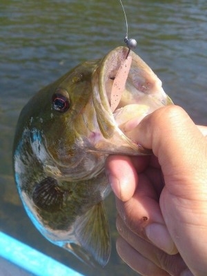 hideup 讓ｪ螻ｱ逶ｴ莠ｺ 繝悶Ο繧ｰ蜀咏悄 2014/06/17