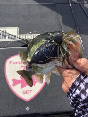 hideup 横山直人 ブログ写真 2015/08/23