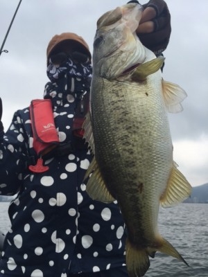 hideup 讓ｪ螻ｱ逶ｴ莠ｺ 繝悶Ο繧ｰ蜀咏悄 2015/07/21