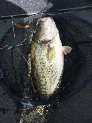 hideup 横山直人 ブログ写真 2014/03/15