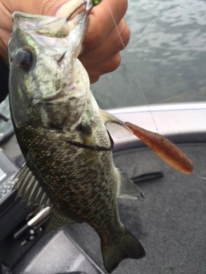 hideup 横山直人 ブログ写真 2015/07/04