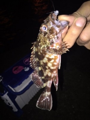 hideup 横山直人 ブログ写真 2015/02/19