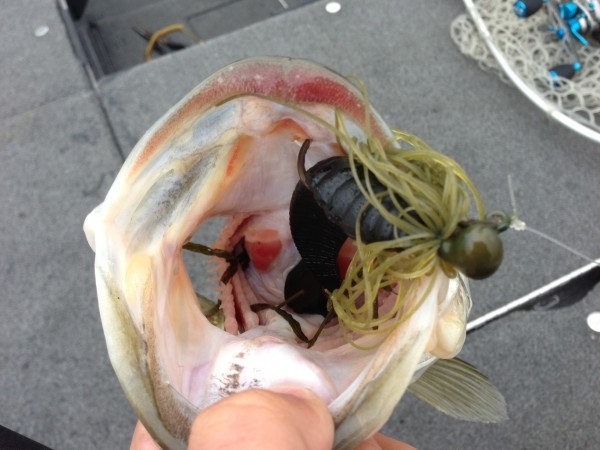 hideup 横山直人 ブログ写真 2015/02/18