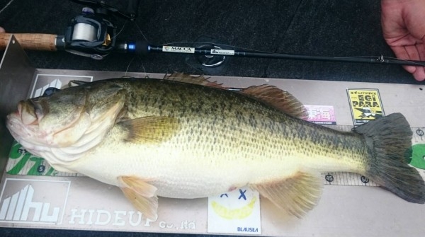 hideup 横山直人 ブログ写真 2017/04/08