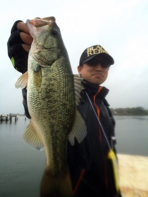 hideup 讓ｪ螻ｱ逶ｴ莠ｺ 繝悶Ο繧ｰ蜀咏悄 2015/11/08