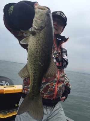 hideup 横山直人 ブログ写真 2015/03/07