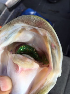 hideup 讓ｪ螻ｱ逶ｴ莠ｺ 繝悶Ο繧ｰ蜀咏悄 2015/05/06