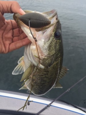 hideup 横山直人 ブログ写真 2015/05/10