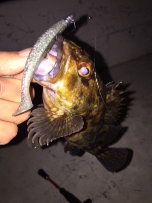 hideup 横山直人 ブログ写真 2015/01/26