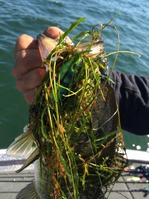 hideup 讓ｪ螻ｱ逶ｴ莠ｺ 繝悶Ο繧ｰ蜀咏悄 2014/10/09