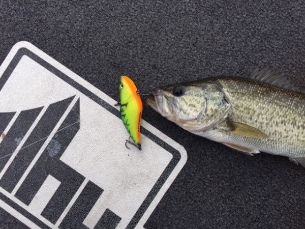 hideup 横山直人 ブログ写真 2014/11/08