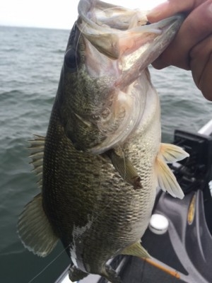 hideup 横山直人 ブログ写真 2015/05/17