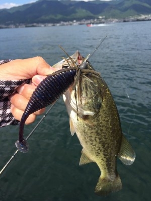 hideup 横山直人 ブログ写真 2015/08/23