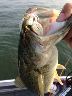 hideup 讓ｪ螻ｱ逶ｴ莠ｺ 繝悶Ο繧ｰ蜀咏悄 2014/04/02