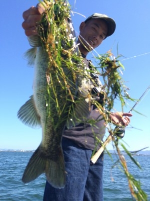 hideup 讓ｪ螻ｱ逶ｴ莠ｺ 繝悶Ο繧ｰ蜀咏悄 2014/10/15