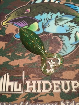 hideup 讓ｪ螻ｱ逶ｴ莠ｺ 繝悶Ο繧ｰ蜀咏悄 2015/01/19