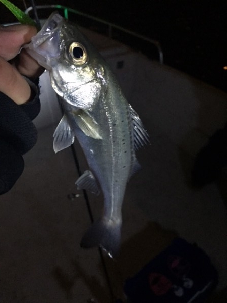 hideup 横山直人 ブログ写真 2015/04/23