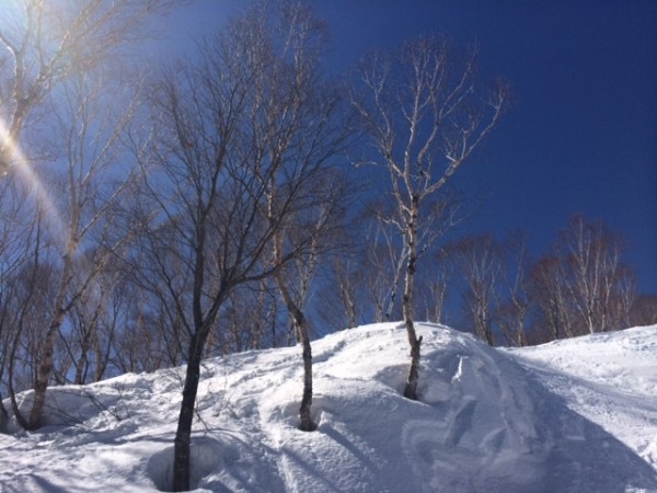 hideup 横山直人 ブログ写真 2014/02/13