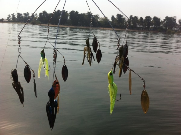 hideup 讓ｪ螻ｱ逶ｴ莠ｺ 繝悶Ο繧ｰ蜀咏悄 2014/11/17