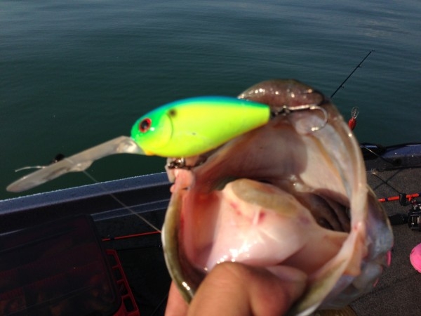 hideup 横山直人 ブログ写真 2013/10/04