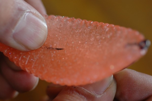 hideup 横山直人 ブログ写真 2015/05/10