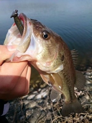 hideup 讓ｪ螻ｱ逶ｴ莠ｺ 繝悶Ο繧ｰ蜀咏悄 2015/03/19