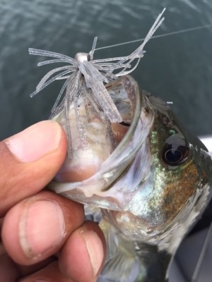 hideup 横山直人 ブログ写真 2015/07/04