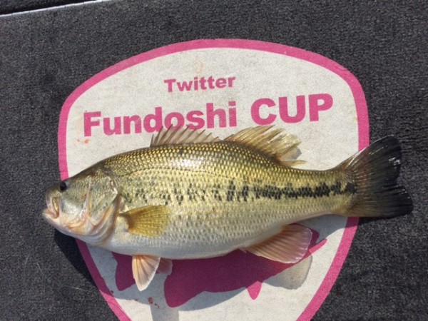 hideup 横山直人 ブログ写真 2015/05/04