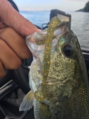 hideup 讓ｪ螻ｱ逶ｴ莠ｺ 繝悶Ο繧ｰ蜀咏悄 2016/09/03