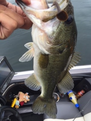 hideup 讓ｪ螻ｱ逶ｴ莠ｺ 繝悶Ο繧ｰ蜀咏悄 2015/06/14