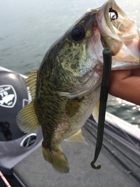 hideup 讓ｪ螻ｱ逶ｴ莠ｺ 繝悶Ο繧ｰ蜀咏悄 2014/09/01