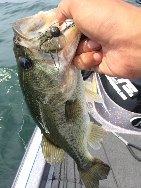 hideup 讓ｪ螻ｱ逶ｴ莠ｺ 繝悶Ο繧ｰ蜀咏悄 2014/07/12