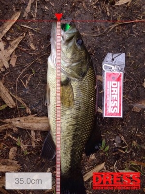 hideup 横山直人 ブログ写真 2015/04/01