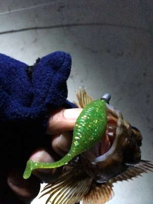 hideup 讓ｪ螻ｱ逶ｴ莠ｺ 繝悶Ο繧ｰ蜀咏悄 2014/12/02