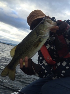 hideup 讓ｪ螻ｱ逶ｴ莠ｺ 繝悶Ο繧ｰ蜀咏悄 2015/06/06