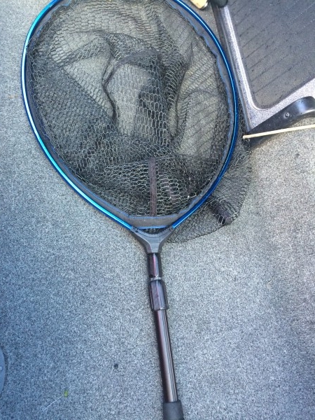 hideup 讓ｪ螻ｱ逶ｴ莠ｺ 繝悶Ο繧ｰ蜀咏悄 2014/03/22