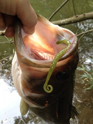 hideup 横山直人 ブログ写真 2015/03/10