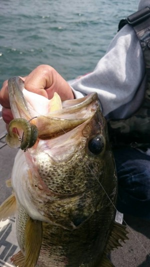 hideup 横山直人 ブログ写真 2017/05/06